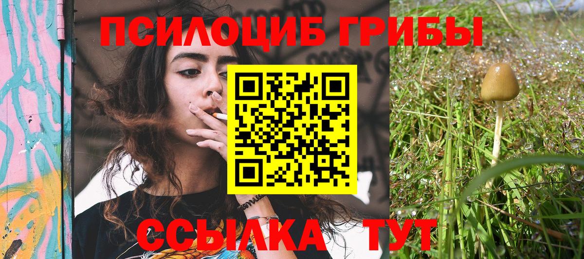 Энгельс  Галлюциногенные грибы прущие грибы  Вход с VPN 